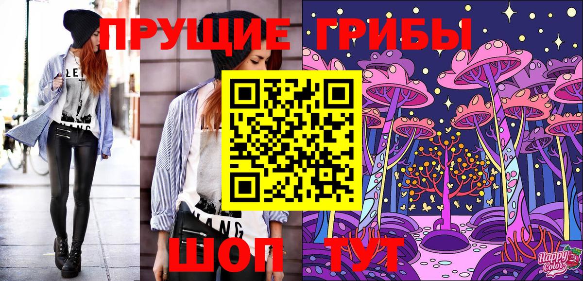 Геленджик  Псилоцибиновые грибы прущие грибы  наркошоп  Вход с VPN  Псилоцибиновые грибы мицелий 